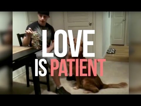 love-is-patient,-love-is-kind-|-meme-edition