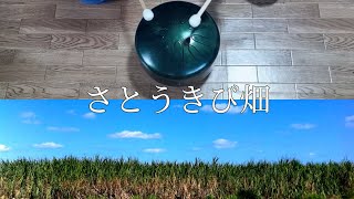 さとうきび畑】さざなみドラム(タングドラム)で演奏してみた