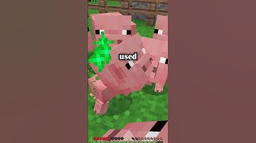 Minecraft Survival Infinite Pig Farm Tutorial