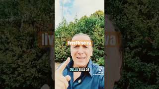 #federicomenconi ecco il trucco delle sale slot per farti perdere soldi #perte #lives91riserva