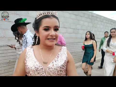 TROJES. Los XV