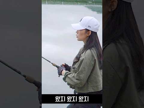 던지면 무조건 문다..!!!