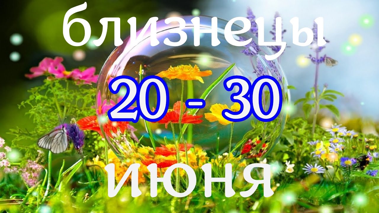 20 июня близнецы