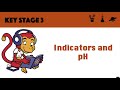 Understanding Indicators and pH Scale