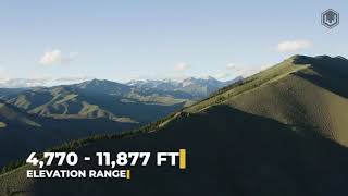 Hunt Unit 49 | Idaho