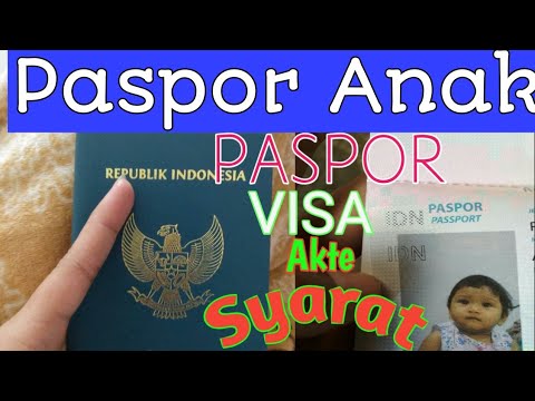 Video: Apakah Anak Memerlukan Visa?