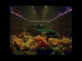 Teaser #4