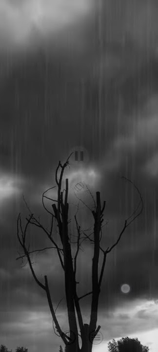 In the Rain (Rain Scenes and Sounds)