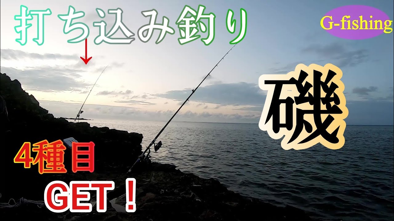 打ち込みで4種目釣り！ タマン 打ち込み釣り がまかつ シマノ - YouTube