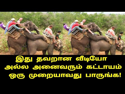 ஒரு-நிமிடம்-ஒதுக்கி-இந்த-வீடியோவை-பாருங்கள்!-|-tamil-movies-|-tamil-cinema-|-kollywood-|-tamil