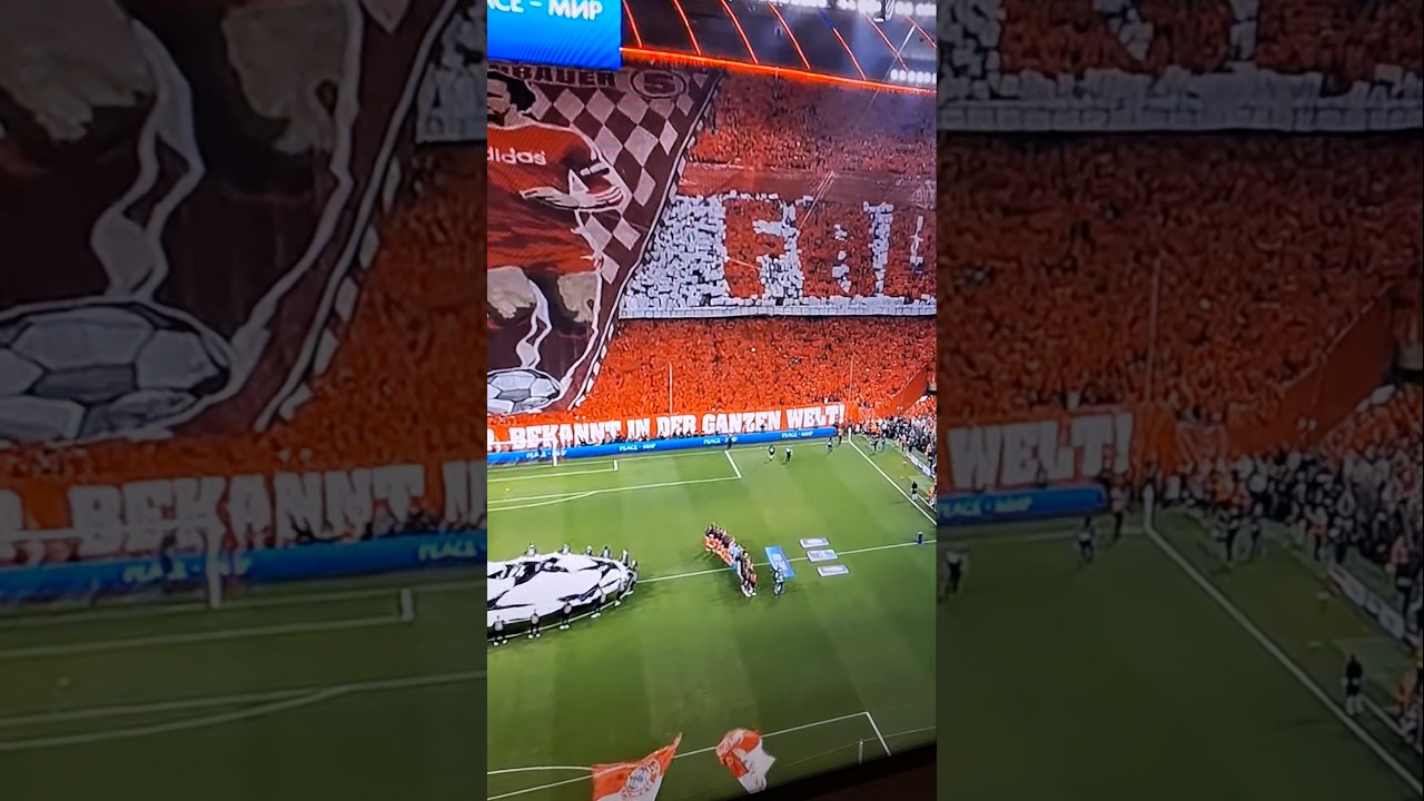 Bayern Munich Fans 🔴 Champions League Nights at Allianz Arena 