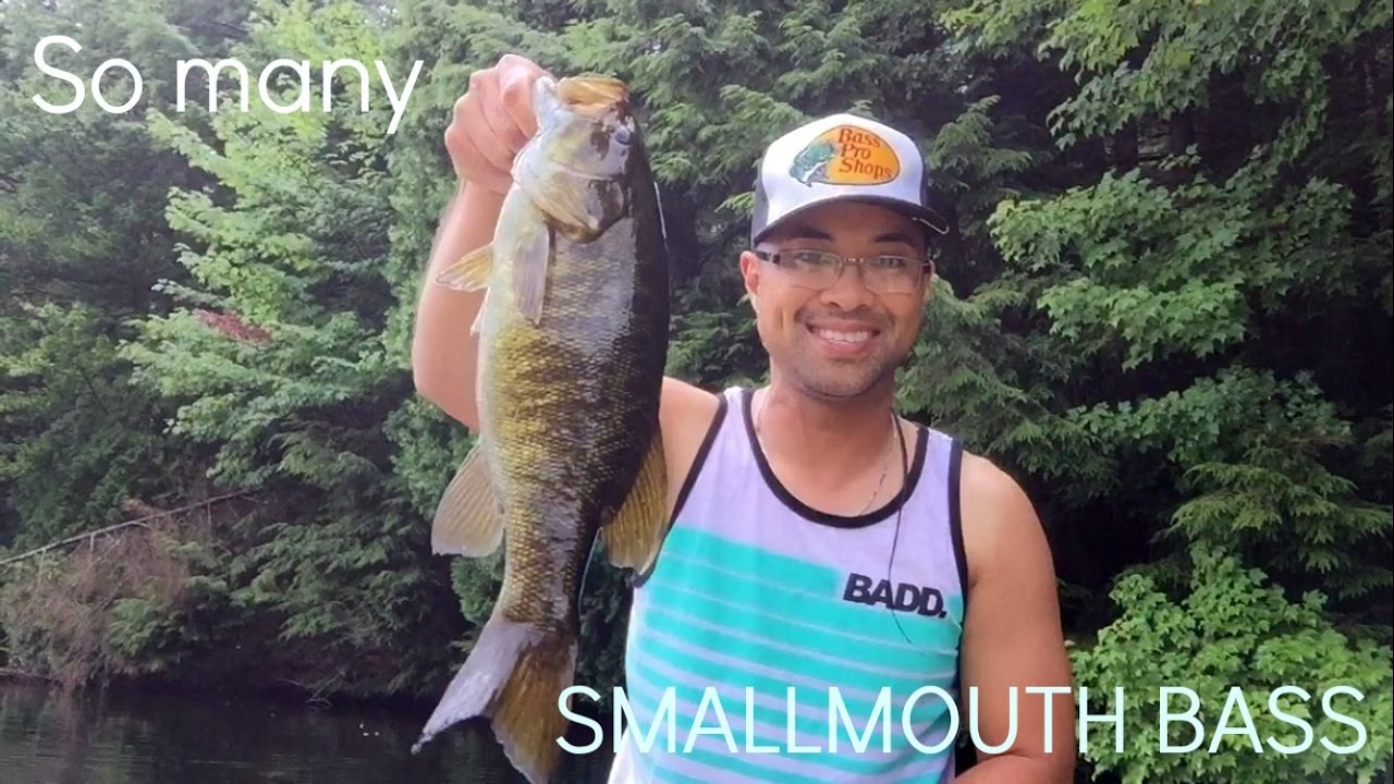 Smallmouth Bass Haven - Huntsville, Ontario (Aug. 12, 2016) 