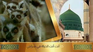 اني ذكرتك فاخضرت بساتيني