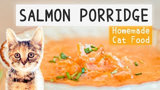 Homemade cat food!  |  Salmon Porridge