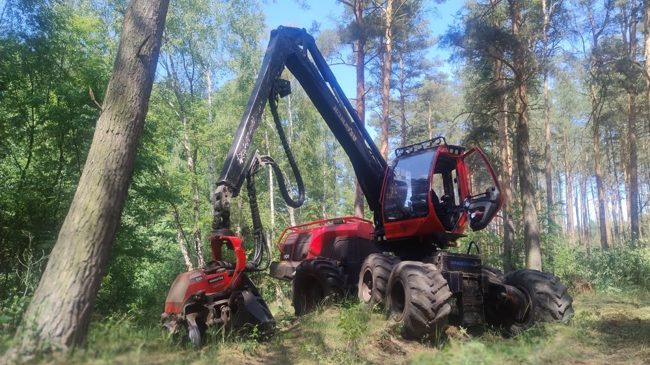 Dzień z harwesterem – pogadanka i omówienie pracy w lesie Komatsu 901