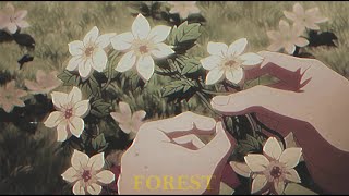 9TAILS - forest (slowed&reverb)