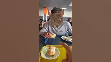 Le Rat Et Le Dessert Shorts 