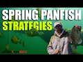Spring panfish strategies