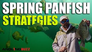 Spring Panfish Strategies