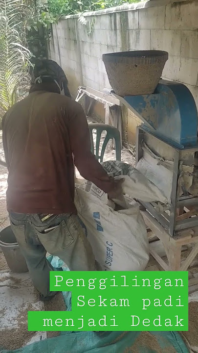 Mengolah Sekam padi menjadi dedak pakan ternak.