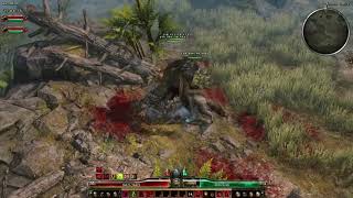 Grim Dawn - Ice King Mystic (Occultist/Berserker) Chaos to Cold Conversion Pet Build, FOUR WOLVES!
