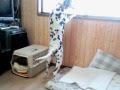 マドロスさんかっ?