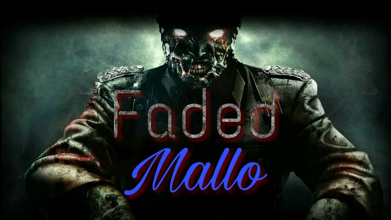 FHR 40 gameplay| COD IW