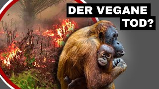 Die Palmöl-Lüge: Sterben für Veganer auch Tiere