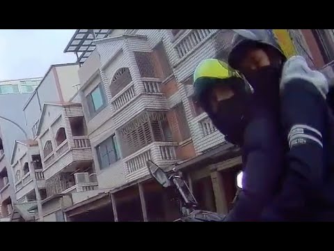 新年第一天遇到死猴子