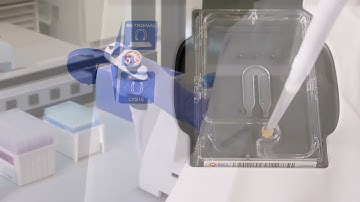 Capturing Single Cells with the BD Rhapsody™ Express Single Cell Analysis System