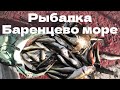 Рыбалка в Баренцевом море - поймали краба на удочку с причала в Североморске