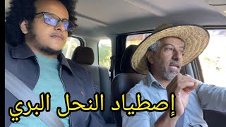 كيفية إصطياد خلايا النحل البري الغير لاسع 🐝