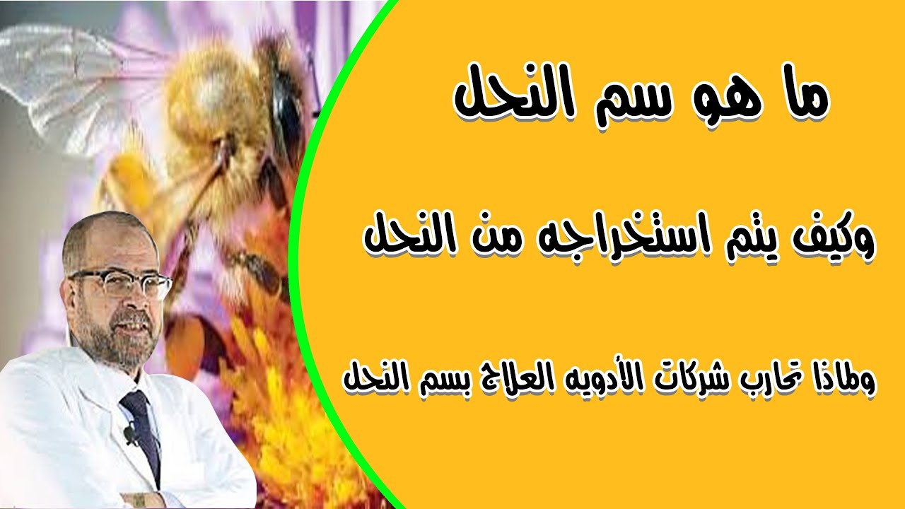 ما هو سـ ـم النحل وكيف يتم استخراجه من النحل ولماذا تحا رب شركات الأدويه العلاج بسـ ـم النحل Youtube