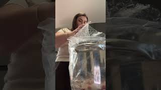 Unboxing #foodie #impasto #mixer #food #unboxing