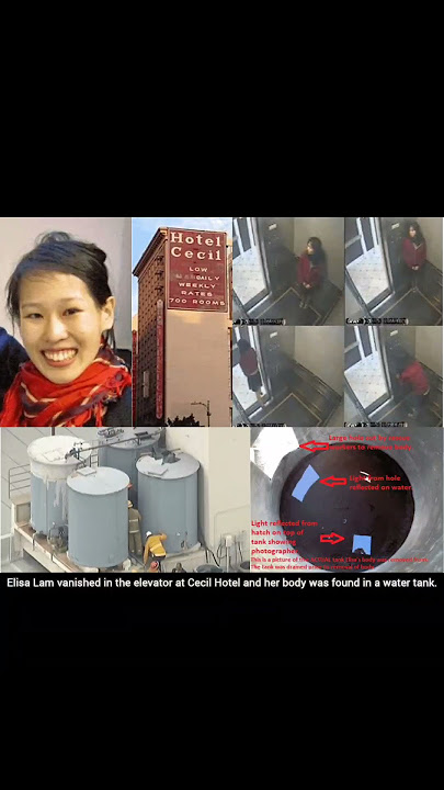 Elisa Lam's Mysterious Disappearance at Cecil Hotel: Her Body Found in the Water Tank