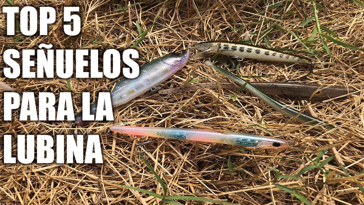 señuelos para la lubina