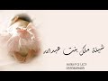 شيلة مولوده باسم ملك 2024 شيلة بشاره مولوده ملك 