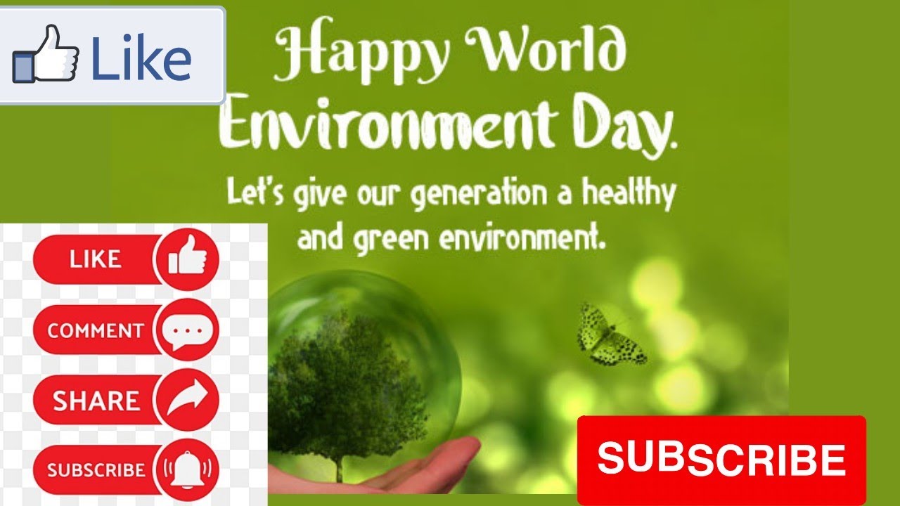 world environment day celebration