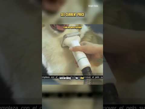 The 4-Step Pet Grooming Reset video thumbnail