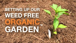 🍅 Setting Up Our Weed Free Organic Garden Using Newspaper and Mulch + Trying Out A Netted Trellis