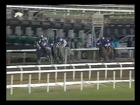 bzflag race 7 bzflag race 7