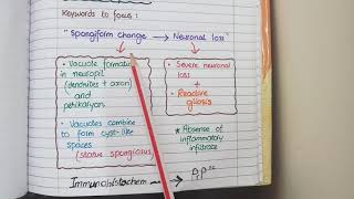 Creutzfeldt Jacob Disease or Prion disease / Morphology