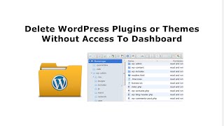 How To Delete WordPress Plugins or Themes Without Access To Dashboard? Net Worth
