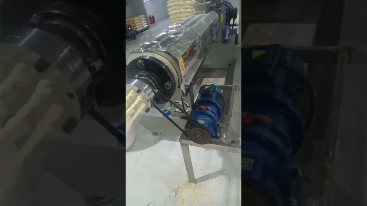 Fried Dough Twists snack food production line