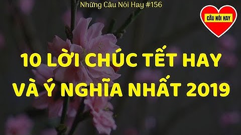 10 Lời Chúc Tết 2019 Hay Và Ý Nghĩa Nhất | Câu Nói Hay #156