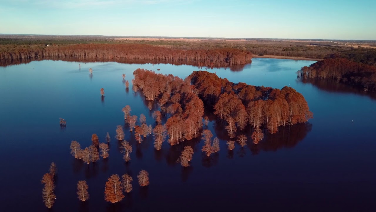 Caddo Lake Dam Area YouTube
