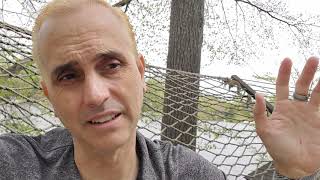 How To Ketone Blood Test Exogenous Ketones Vs Endogenous Ketones