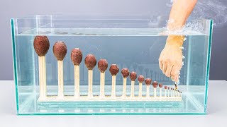 Amazing Underwater Matches Chain Reaction by Play To DIY 5,351,269 views 4 years ago 12 minutes, 12 seconds