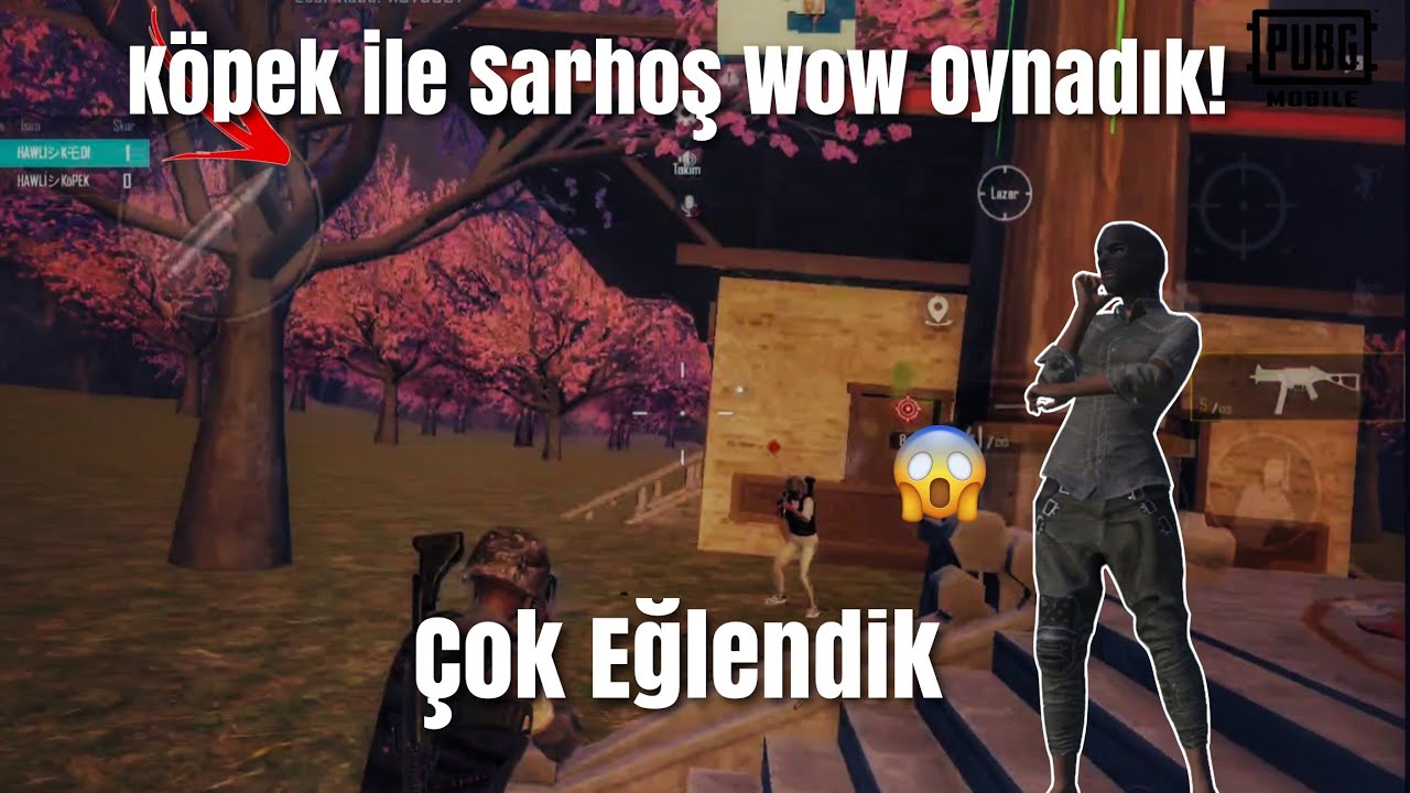 Köpek İle Sarhoş Wow Oynadık Çok eğlendik! @KÖPKEPUBG | PUBG MOBİLE