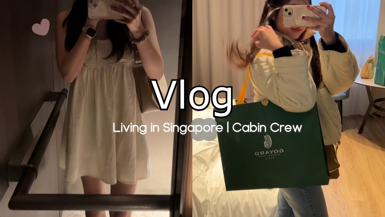 Goyard Anjou PM Unboxing Review - Bought in Singapore Trip 